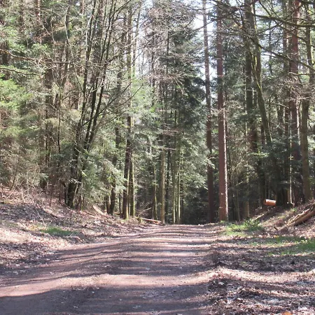 Le Clos D'aure. Oberhaslach