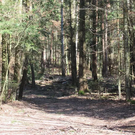 فندق مبيت وإفطار Le Clos D'aure. 3*