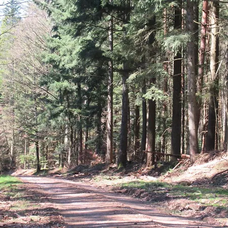 Le Clos D'aure. 3* Oberhaslach