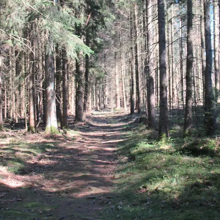 住宿加早餐酒店 Le Clos D'aure. Oberhaslach