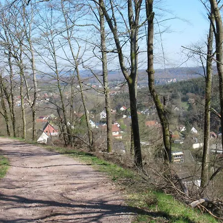 فندق مبيت وإفطار Le Clos D'aure. Oberhaslach