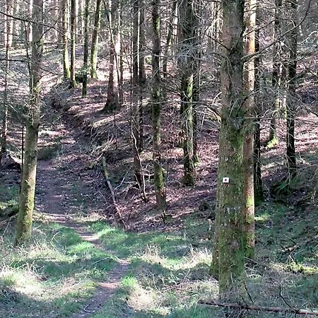 Alojamento de Acomodação e Pequeno-almoço Le Clos D'aure. Oberhaslach