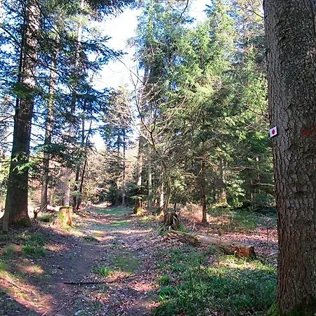 Le Clos D'aure.
